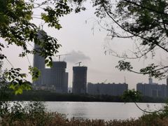 -华侨城湿地公园