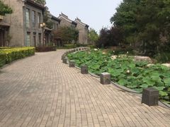 -万源龙顺度假庄园生态观光园