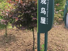 -长兴太湖图影湿地文化园