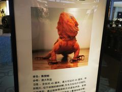 -大连凯丹广场