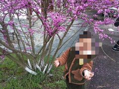 -崀山风景名胜区