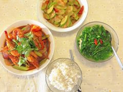 -田螺阿姨自营月嫂·育儿嫂(高新店)