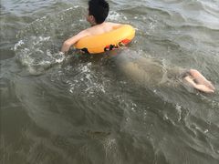 -碧海金沙