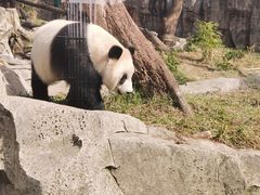 -武汉动物园