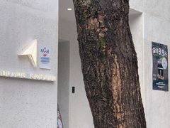 -北芒BEIMO COFFEE(五台山店)