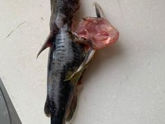 -华润苏果(晓庄国际商业广场店)