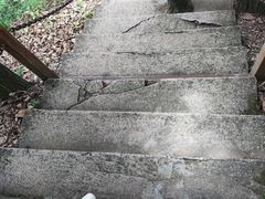 -陕西省红河谷森林公园