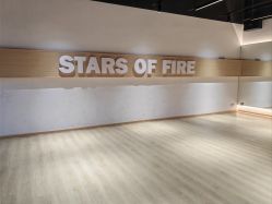 -烈火星辰体育舞蹈