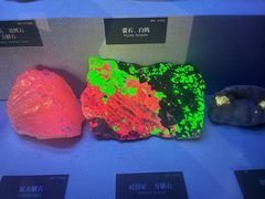 -湖南省地质博物馆