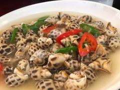 花螺-冯姐生蚝(长隆横琴店)