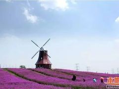 -白沙门生态公园