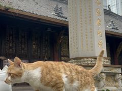 -古大圣慈寺