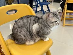 -平行世界·猫咖(首经贸店)