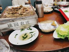 -桃园农庄烤全羊(江秋路店)