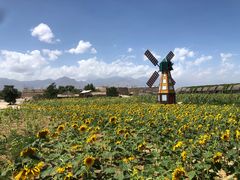 -镇北堡西部影城