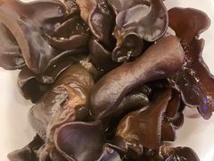 -蝎王府羊蝎子(北大地店)