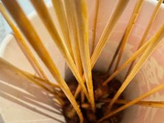 -天美汇鸡翅包饭(来福士广场店)