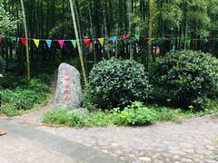 -紫金山天文台