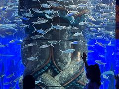 -波塞冬旅游度假区