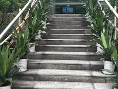 -杭州口腔医院(城西院区)