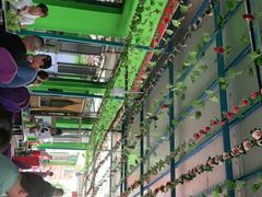 -马白开来特色羊排揪片子  (总店)