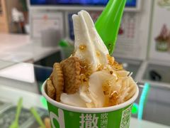 -Salud撒露欧洲冻酸奶(五道口购物中心店)