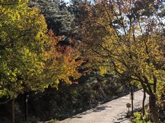 -云峰山自然风景区