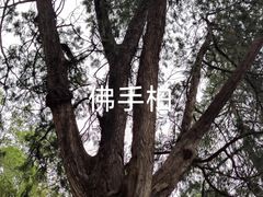 -红螺寺
