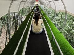 -藏龙百瀑风景区