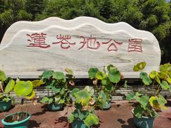 -莲花池公园