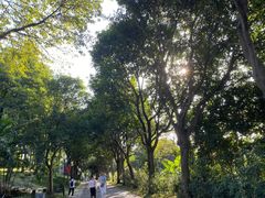 -云溪植物园