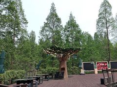 -黄海国家森林公园