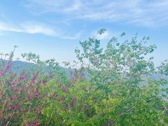 -北京西山国家森林公园