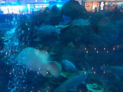 -成都浩海立方海洋公园