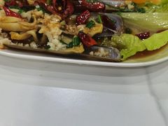 竹蛏王-威海渔村(静安旗舰店)