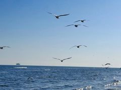 -德全心悦酒店(北京金台路地铁站店)