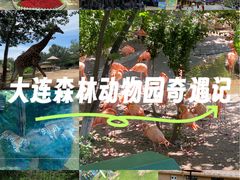 -大连森林动物园