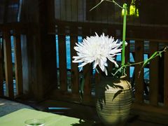 -扫雪煮茶(西村店)