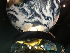 -瑞普利水族馆