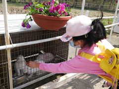 -大连铭湖国际观光牧场