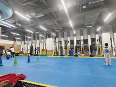-正道拳击·跆拳道馆(青少年活动中心)