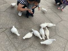 -无锡动物园·太湖欢乐园