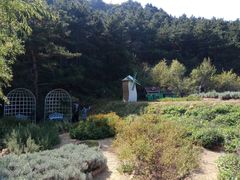 -云峰山自然风景区