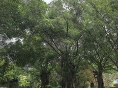 -南宁南湖公园