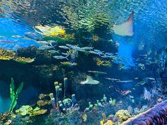 -华夏文旅海洋公园