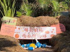 -HERRE·FARM 赫尔露营农场·团建聚会包场