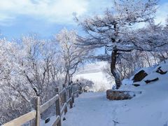 -灵山