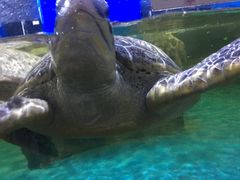 -石林冰雪海洋世界