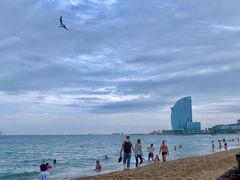 -小巴塞罗那海滩