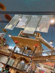 -卡通尼·Safari非洲探索乐园·生日会(金桥国际商业广场店)